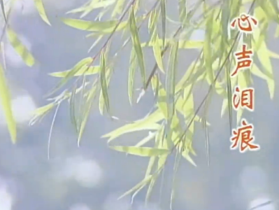 卓依婷《心声泪痕》DVD高清版MV