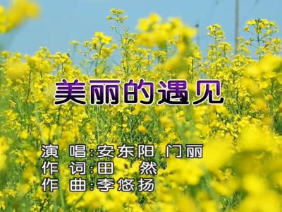 安东阳/门丽《美丽的遇见》原版MV